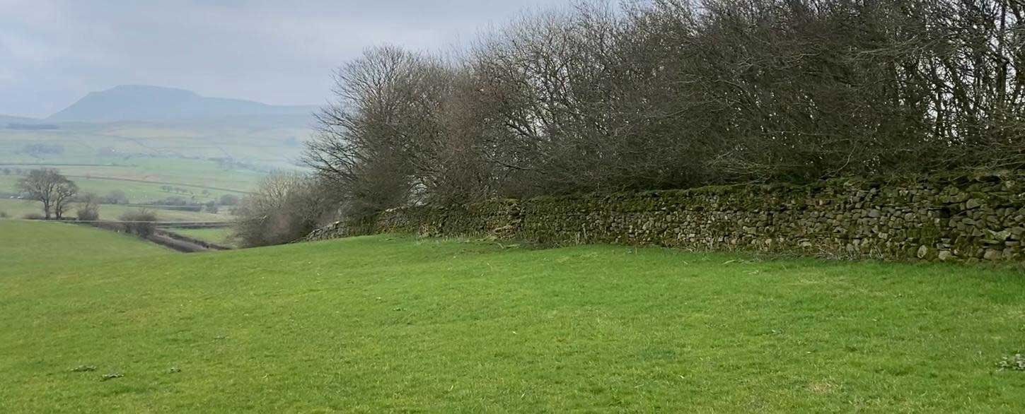 BNG Units for Sale in North Yorkshire Planning Authority