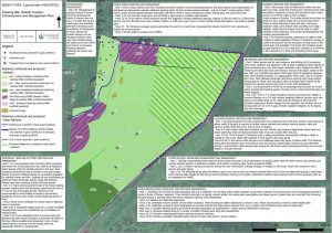 North Yorkshire BNG Units for Sale
