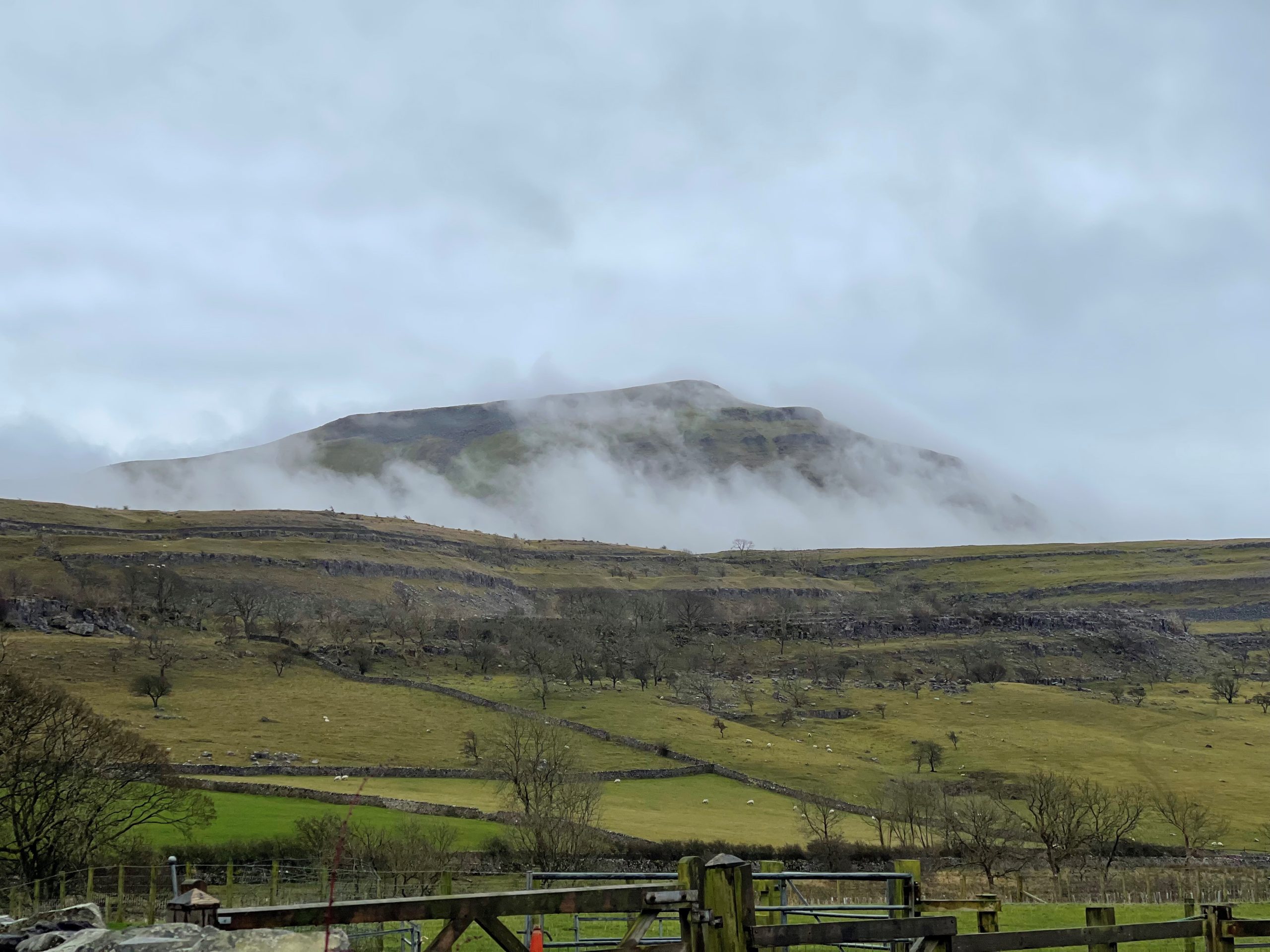 BNG North Yorkshire